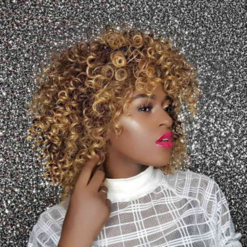 Synthetic Kinky Curly African American Wigs